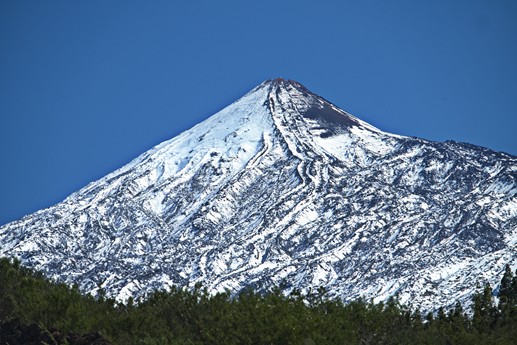 9 feb 2021 Fioritura mandorli